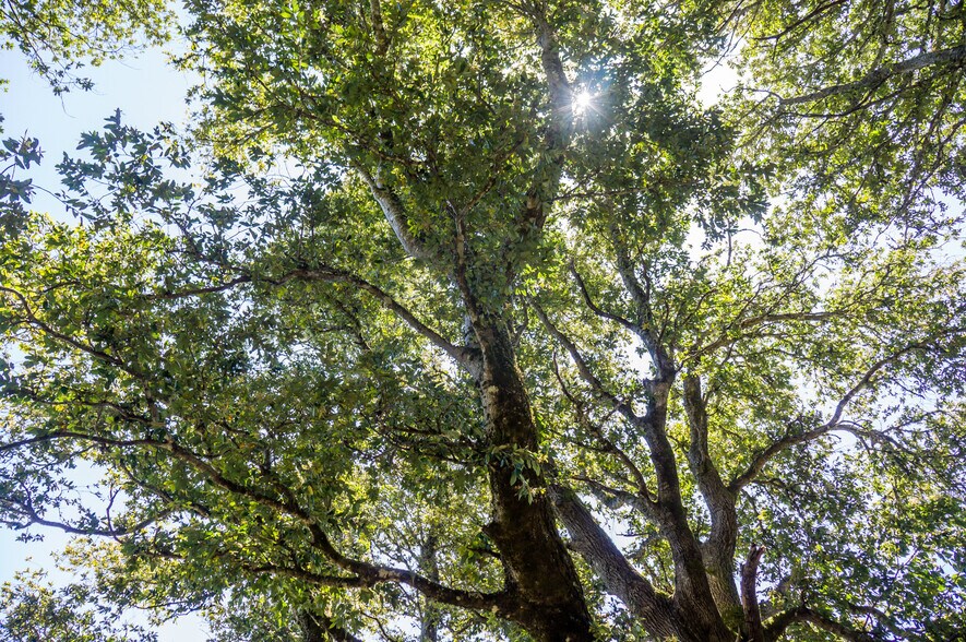 More Photos Of 16401 South Highway 1, Manchester Land For Sale