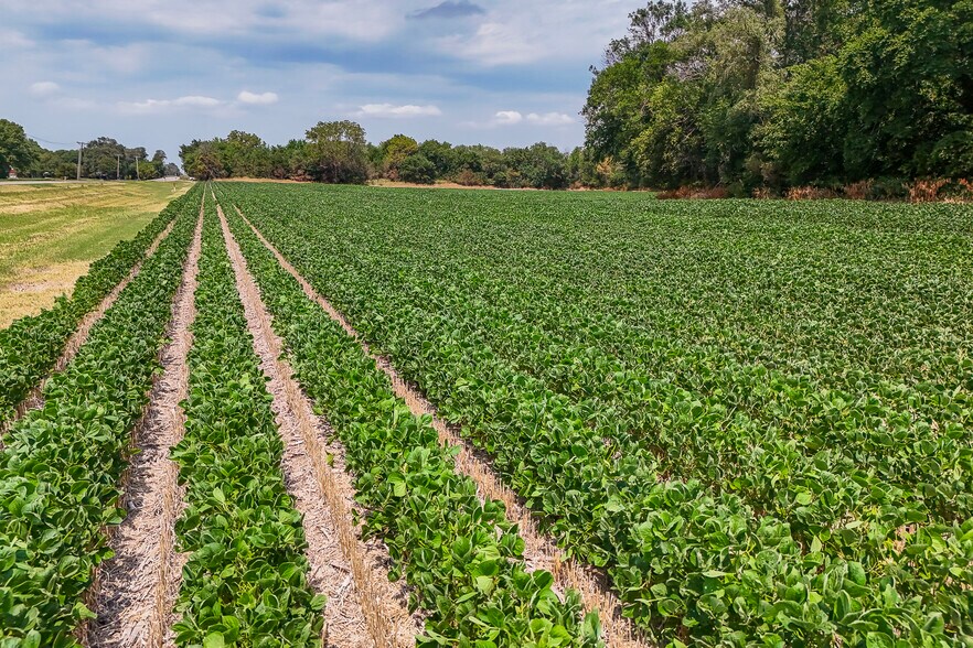 More Photos Of 11.17+/- Acres at Ridge & 109th St. N. rd, Valley Center Land For Sale
