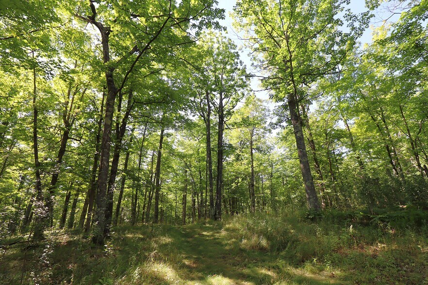 More Photos Of 35480 Whitetail Ave, Bayfield Land For Sale