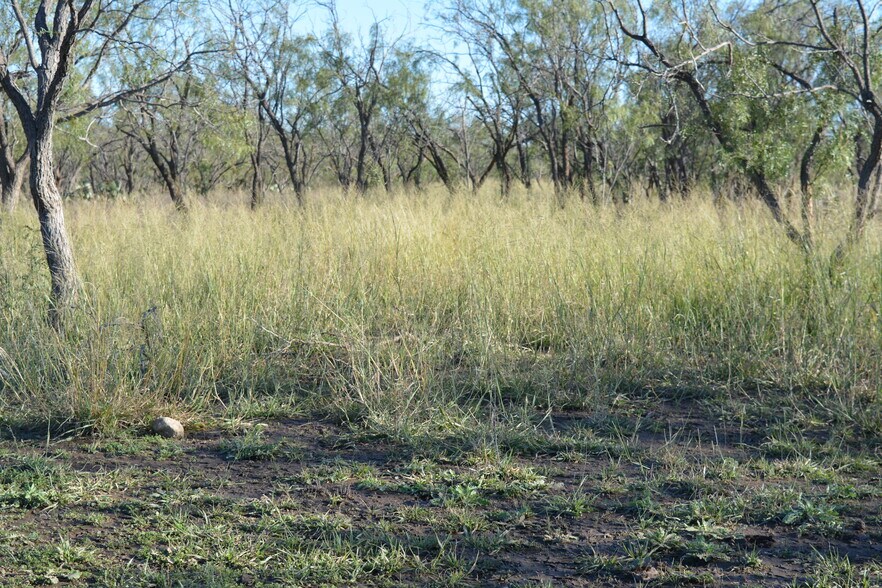 More Photos Of CR 1329, Paint Rock Land For Sale