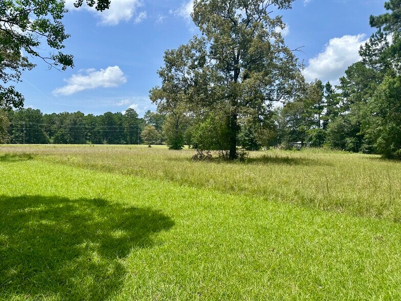 More Photos Of 119 Flagon Rd, Dry Prong Land For Sale
