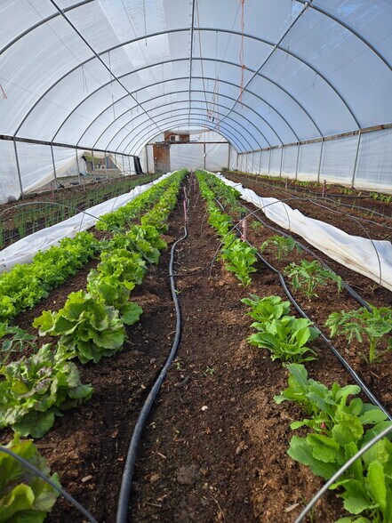 More Photos Of 3526 Front St, Palisade Specialty For Sale