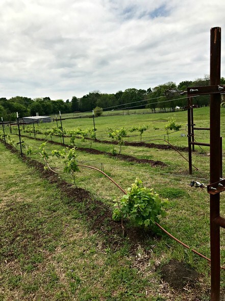 More Photos Of 6071 CR 161, McKinney Land For Sale