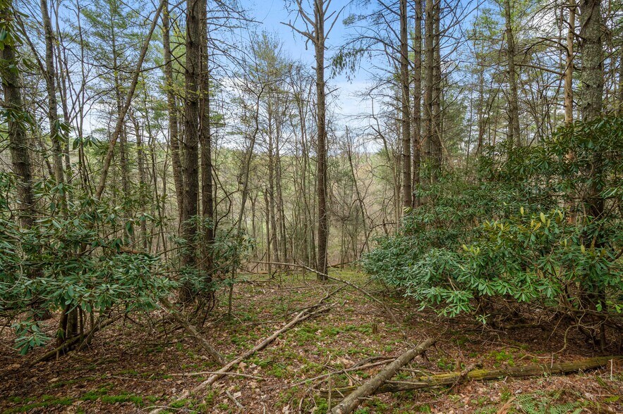 More Photos Of TBD Cole Mountain Road, Hiwassee Land For Sale