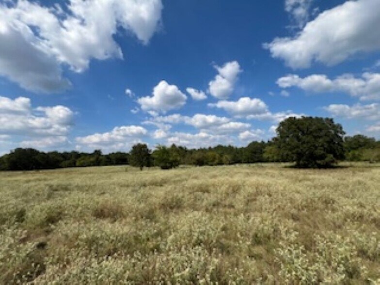 More Photos Of 21805 U.S. HWY 69S hwy, Bullard Land For Sale