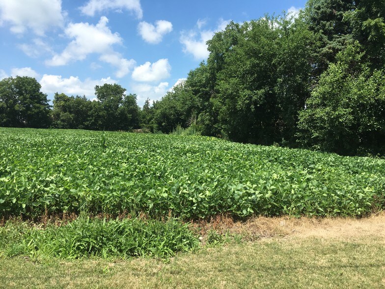 More Photos Of 901 N Bridge St, Yorkville Land For Sale