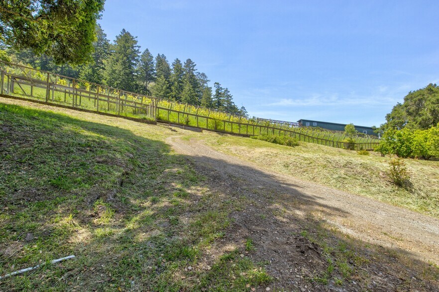 More Photos Of 5090 La Honda Rd, San Gregorio Land For Sale