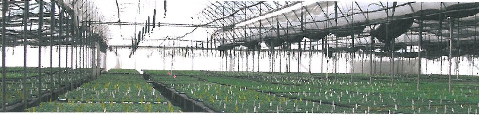 More Photos Of 501 Osborne St, Vista Winery Vineyard For Sale