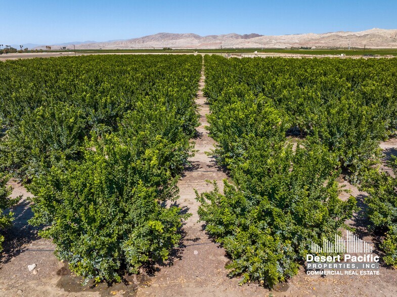 More Photos Of Wheeler St, Mecca Land For Sale