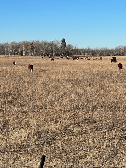 More Photos Of SE-32-71-5-W6, Grande Prairie Land For Sale
