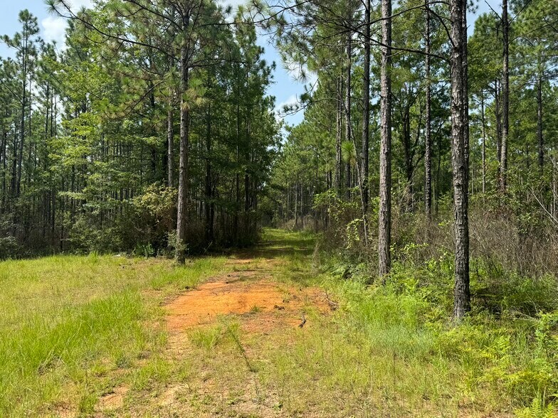More Photos Of 0 Nokomis Road, Walnut Hill Land For Sale