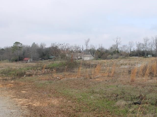 More Photos Of 720 E Forsyth St, Americus Land For Lease