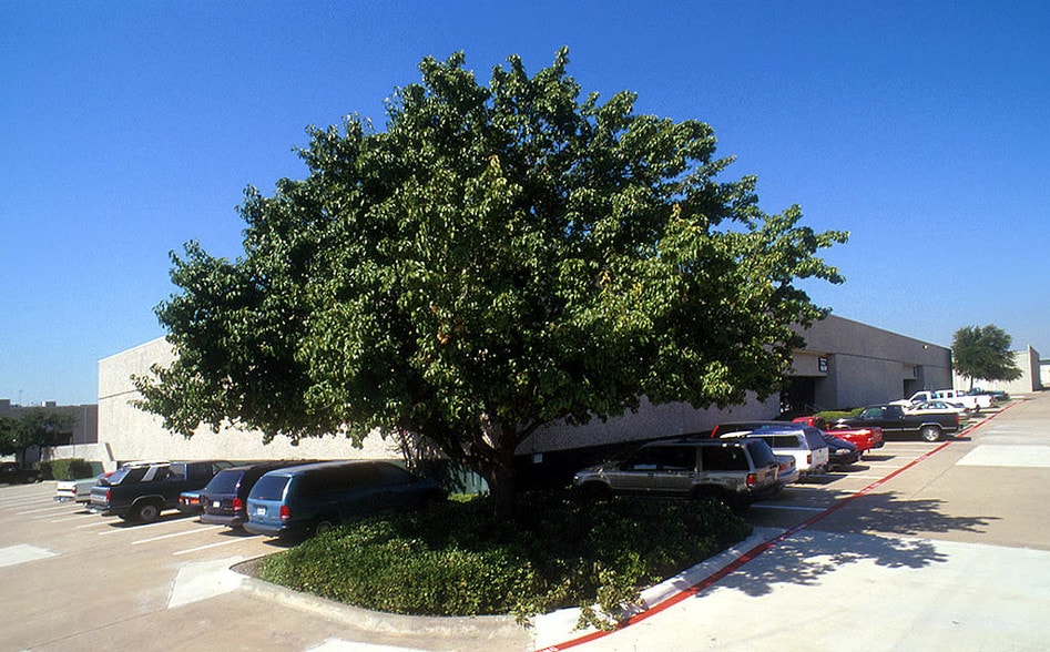 More Photos Of 1352-1366 Exchange Dr, Richardson Unknown For Lease