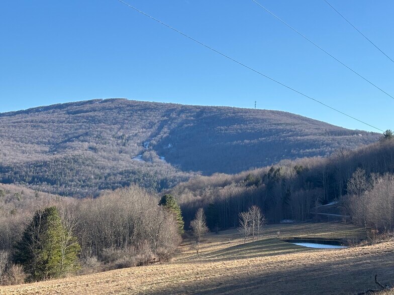 More Photos Of Galli Curci Road @ New York State Route 28, Highmount Land For Sale