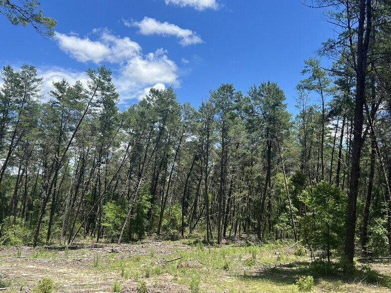 More Photos Of 1650 Withlacoochee Trl, Dunnellon Land For Sale