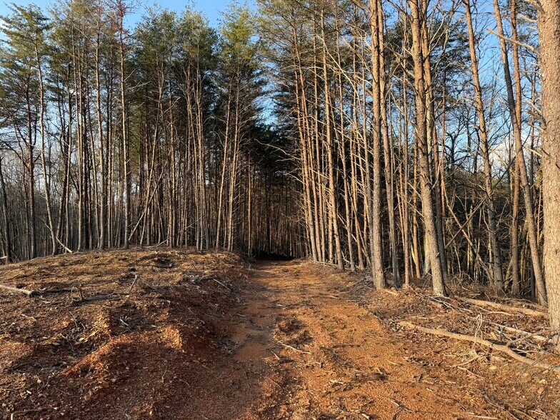 More Photos Of 260 Arnold Rd NE, Fairmount Land For Sale