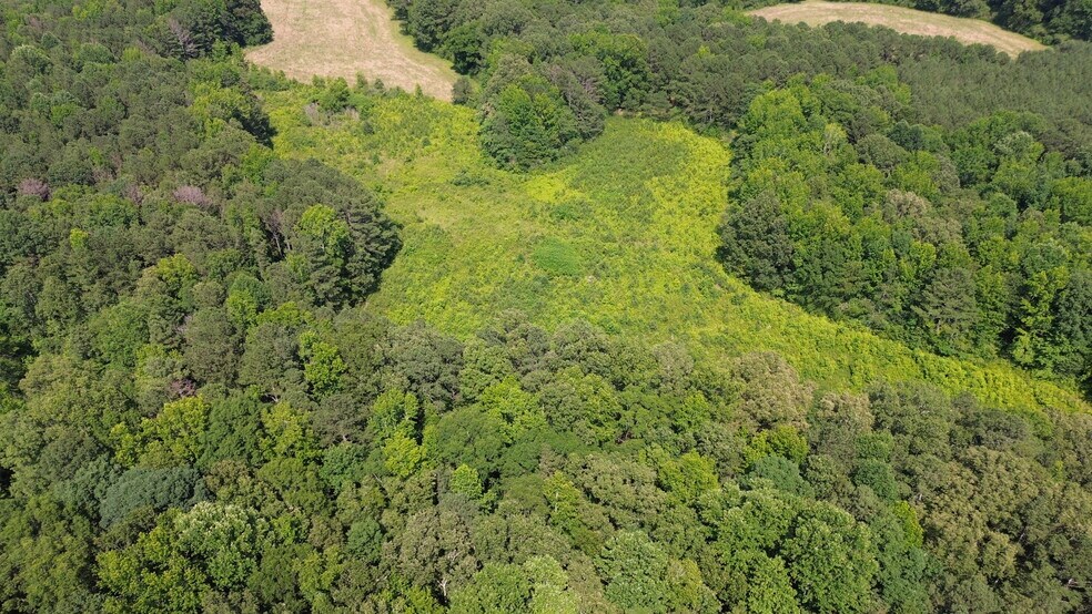 More Photos Of 104 E Kerri Ln, Boaz Land For Sale