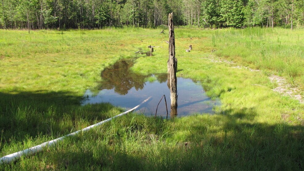 More Photos Of Aiken Rd @ Hennings Dr, Vass Land For Sale