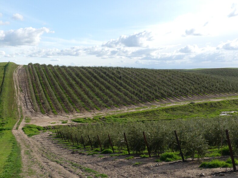 More Photos Of 27554 Lake Road, La Grange Land For Sale