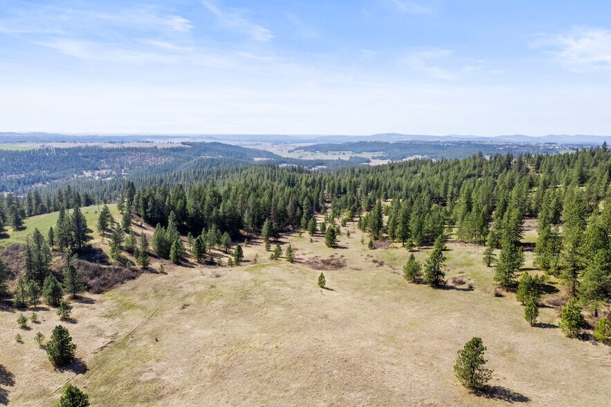 More Photos Of 15809 N Scribner Branch Rd, Spokane Land For Sale