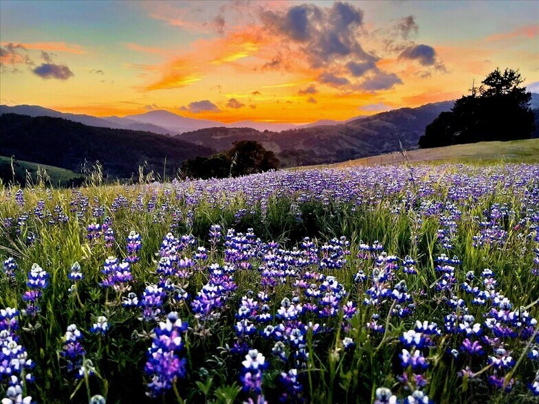 More Photos Of 220 Wilder Ridge rd, Honeydew Land For Sale