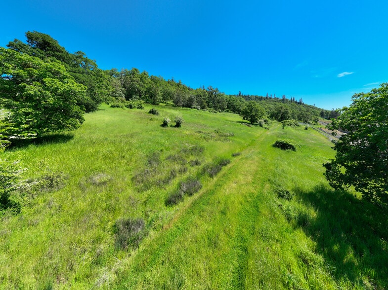More Photos Of NE Kenneth Ford Dr, Roseburg Land For Sale