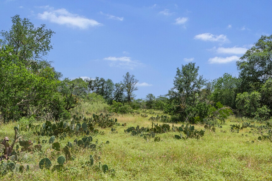 More Photos Of 17743 FM1957, San Antonio Land For Sale