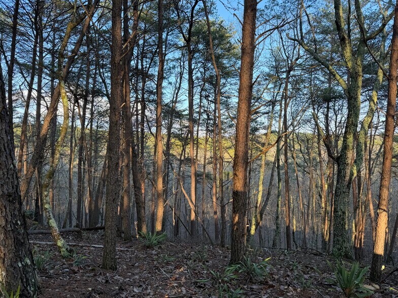 More Photos Of 260 Arnold Rd NE, Fairmount Land For Sale