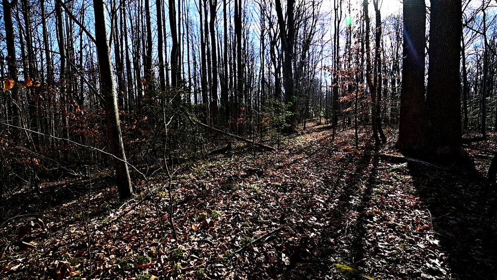 More Photos Of Richard Allen St, Aquasco Land For Sale