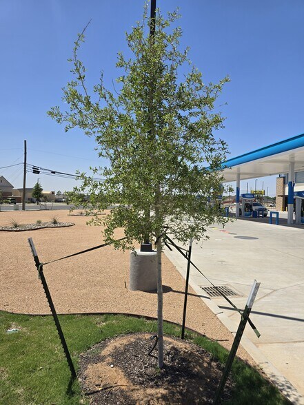 More Photos Of 3601 Billy Hext, Odessa Convenience Store For Lease