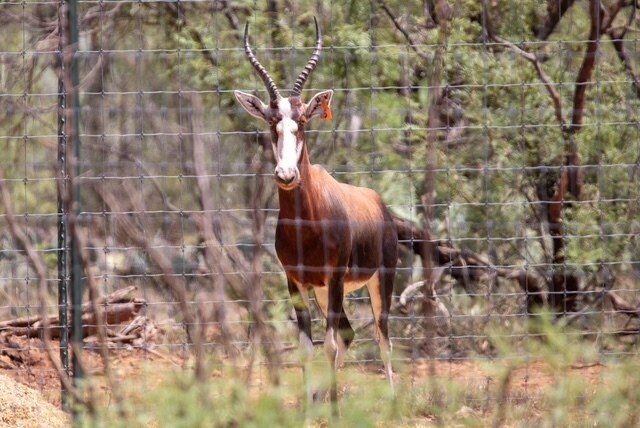 More Photos Of 5710 Co 331 rd, Colorado City Land For Sale