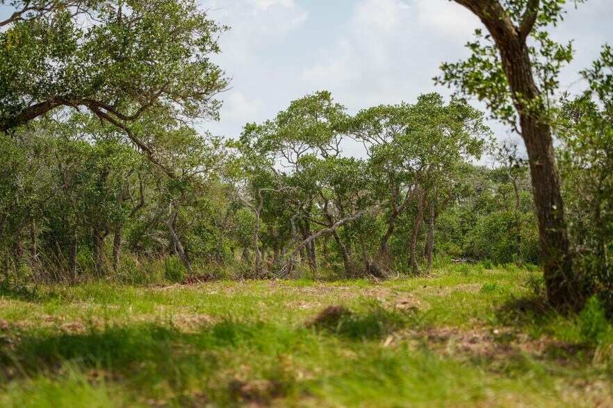 More Photos Of 704 South Highway 35 Byp, Rockport Land For Sale