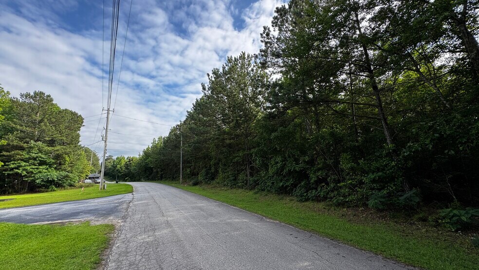 More Photos Of 0 Clayton Dr, Bremen Land For Sale