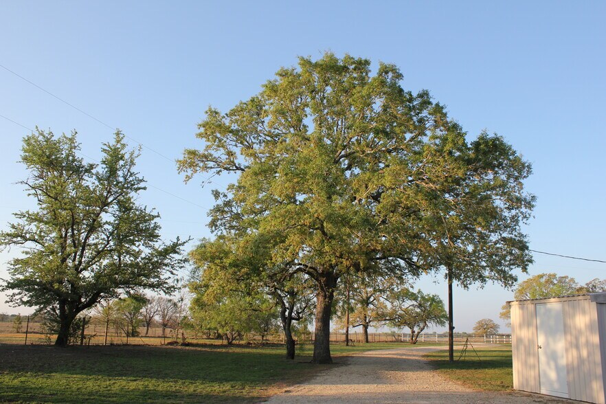More Photos Of 986 Shiloh Rd, Bastrop Land For Sale