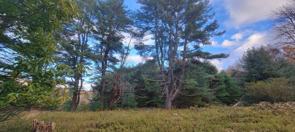 More Photos Of 1195 State Route 17B, Bethel Land For Sale