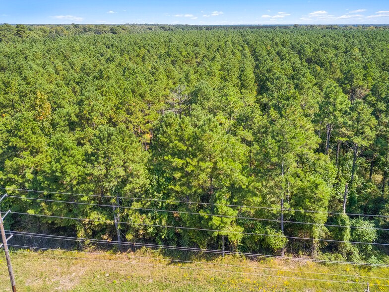 More Photos Of Hwy 157, Princeton Land For Sale