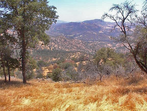 More Photos Of 38176 Cardinal, Yokuts Valley Land For Sale