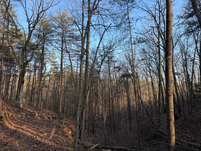 More Photos Of 260 Arnold Rd NE, Fairmount Land For Sale