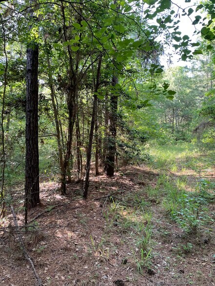More Photos Of 0 Hwy 190 E, Huntsville Land For Sale