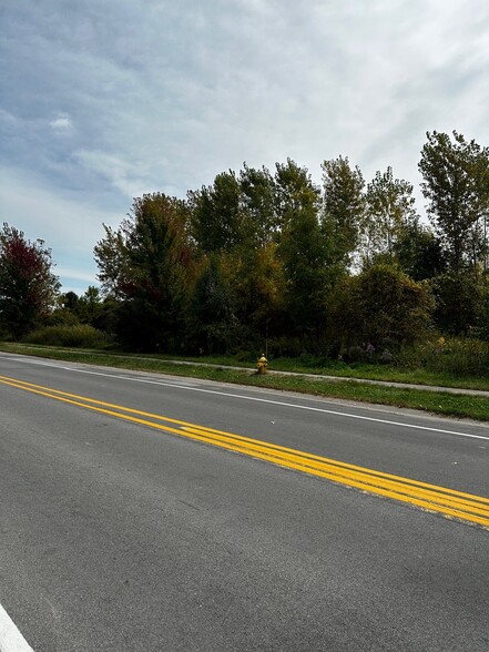 More Photos Of 0 Janes, Rochester Land For Sale