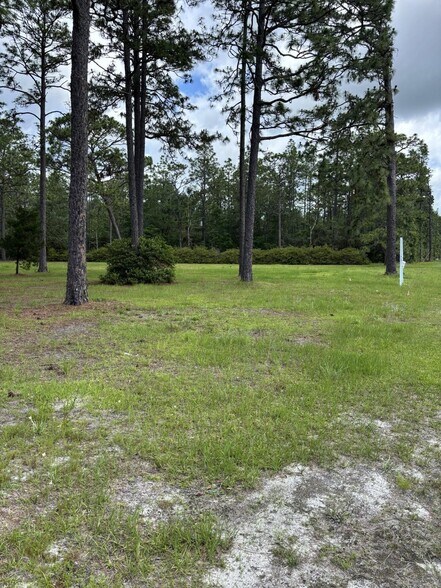 More Photos Of 14034 U.S. 331 Business, Freeport Land For Sale