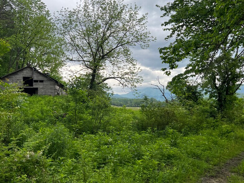 More Photos Of 6387 Airport Rd, Andrews Land For Sale