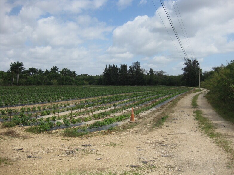 More Photos Of 19922 SW 304th St, Homestead Land For Sale