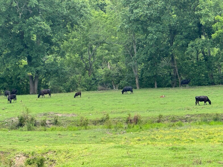 More Photos Of 210 Ridge Haven Dr, Surgoinsville Land For Sale