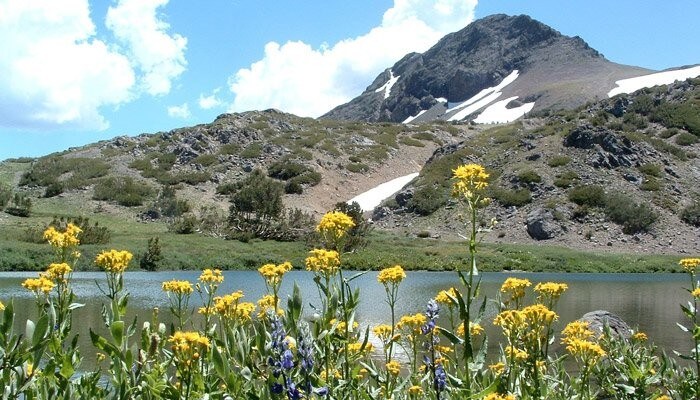 More Photos Of 32161 Kit Carson Rd, Pioneer Hotel For Sale