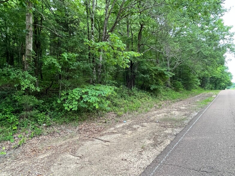 More Photos Of 15170 Arkabutla, Sarah Land For Sale