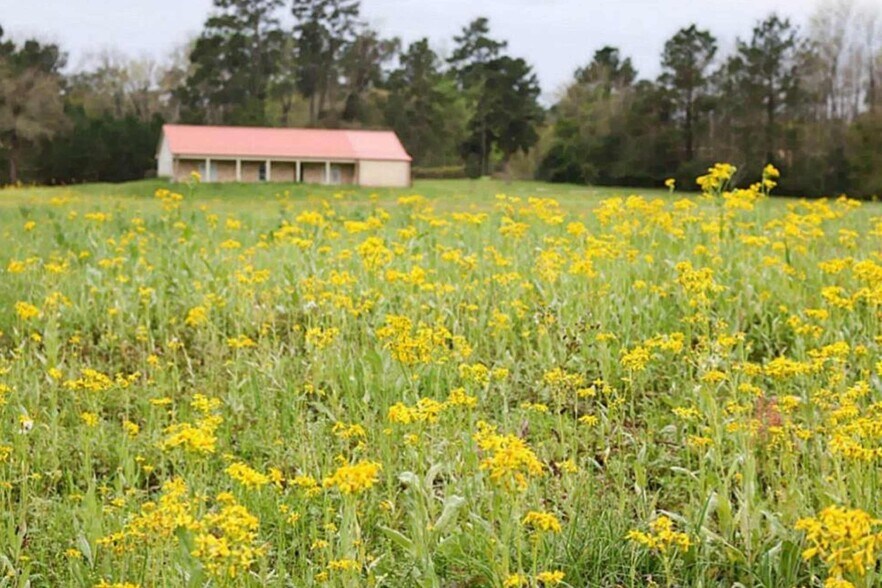 More Photos Of 12244 Serenity Rose Dr, Conroe Lodge Meeting Hall For Sale
