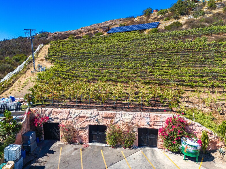 More Photos Of 2286 Sunshine Mountain Rd, San Marcos Winery Vineyard For Sale