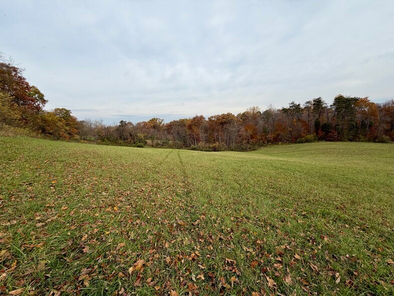 More Photos Of 23765 Charleston Rd, Leon Land For Sale