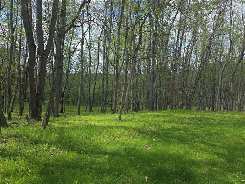 Primary Photo Of 000 Thomas Rd, Eighty Four Land For Sale